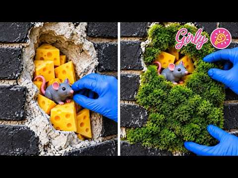🏠 Genius Wall Decor & Repair Hacks to Transform Your Home! ⭐